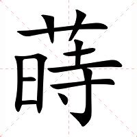 蒔的意思|蒔：蒔的意思/造詞/解釋/注音